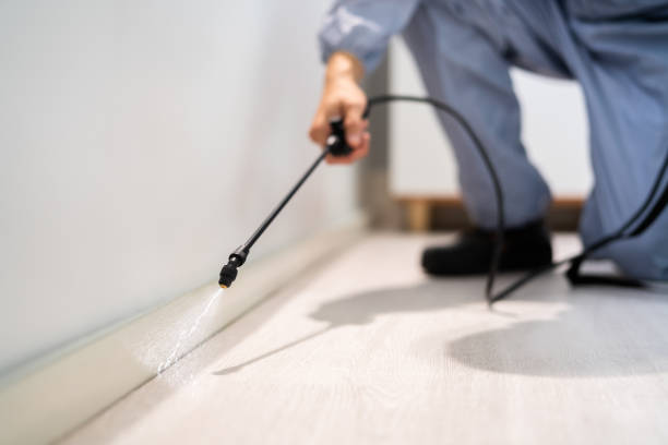 Certified termite inspector examining foundation in Collegeville